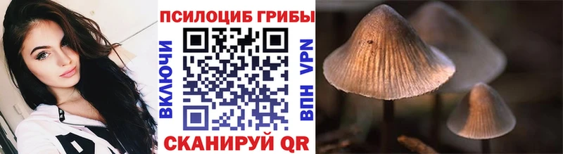 Галлюциногенные грибы ЛСД  Вихоревка 